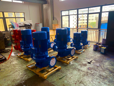 離心工業(yè)泵的日常故障及維修注意事項(xiàng)